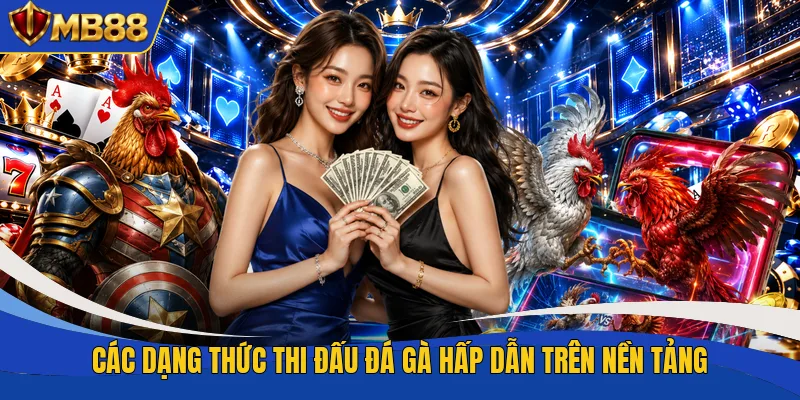Các dạng thức thi đấu đá gà hấp dẫn trên nền tảng Các dạng thức thi đấu đá gà hấp dẫn trên nền tảng