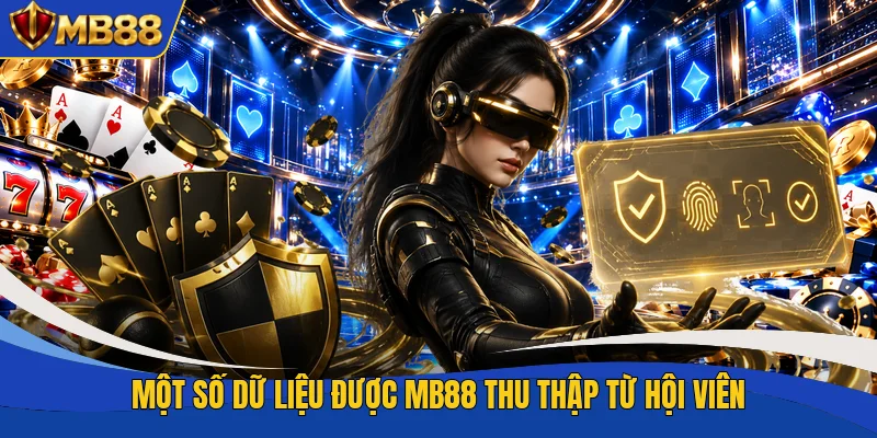 Một số dữ liệu được MB88 thu thập từ hội viên
