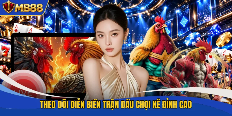 Theo dõi diễn biến trận đấu chọi kê đỉnh cao Theo dõi diễn biến trận đấu chọi kê đỉnh cao